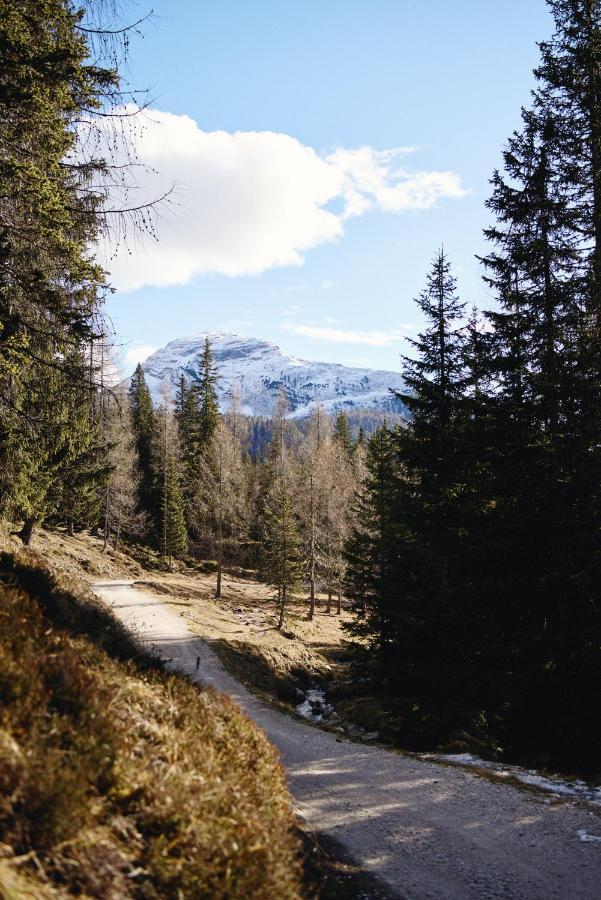 Villa Rifugio Malga Ra Stua Cortina dʼAmpezzo Exterior foto