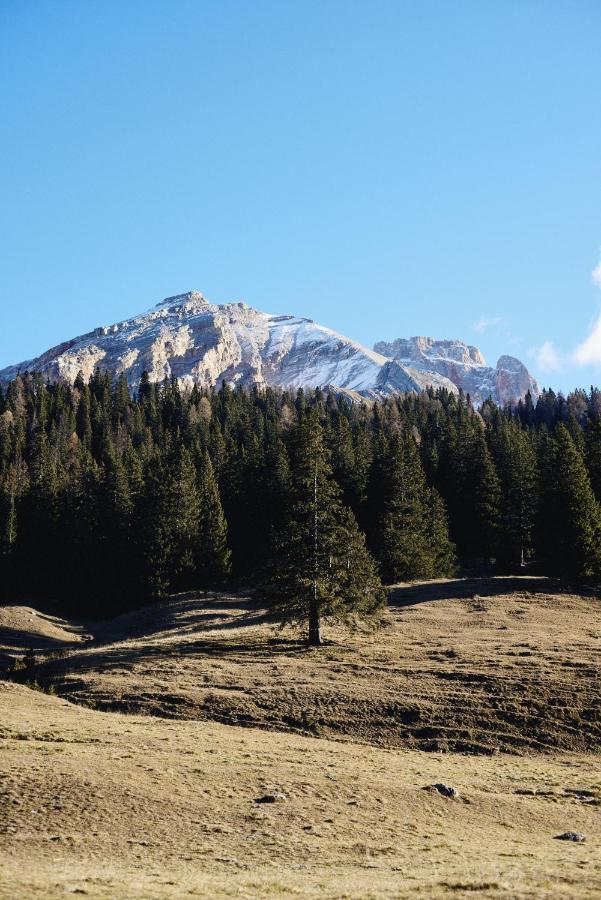 Villa Rifugio Malga Ra Stua Cortina dʼAmpezzo Exterior foto